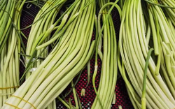 5 loại rau dễ "ngậm hóa chất" nhất chợ, chính người bán cũng không dám ăn, dịp lễ Tết càng nên chọn kỹ khi mua