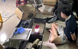 Đột kích ngôi nhà số 745, bắt Đỗ Hữu Duy sinh năm 2003 trong chuyên án lớn nhất