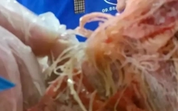 Vụ nghi thịt bẩn vào hàng loạt trường ở TPHCM: "Hiệu trưởng bủn rủn tay chân"