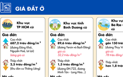 [Infographic] - Chi tiết bảng giá đất lần đầu áp dụng từ ngày 1-1 tại TP HCM