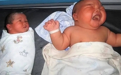 Mang thai, ngày nào cũng "bồi bổ" món này, mẹ trẻ sinh con nặng gần 5,5kg: Bác sĩ thở dài cảnh báo trí não trẻ bị ảnh hưởng