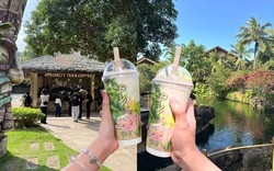 Tốn 1 triệu đồng mới được quyền mua một ly Phê La, chi nhánh mới khiến khách nghe xong muốn quay xe gấp