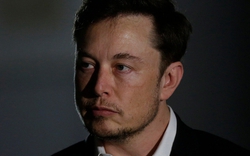 Elon Musk đã đúng