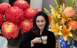 Chi hơn 300k rước bình hoa "khổng lồ" về nhà: Loài hoa định nghĩa lại hai chữ "phú quý" cho phòng khách ngày xuân