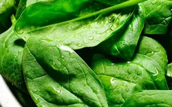 2 loại rau "tăng chiều cao" cho trẻ cực giàu canxi, nhất cái số 1 ngoài chợ bán đầy