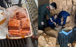 Cận cảnh 12 tấn trứng non, sụn gà... “chữ lạ” nằm la liệt trong 3 xe container đang chờ tuồn ra thị trường tại Hà Nội