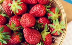 Tại sao dâu tây bán ở siêu thị có thể giữ tươi lâu, trong khi dâu tây bạn tự hái lại bị mốc chỉ sau 2 ngày?