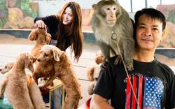 Đi thăm trâu, khỉ, ngựa... giữa trung tâm Thủ đô và nghe những chuyện thấy "bận lòng"