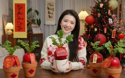 Trend lạ đón Tết: Ra chợ mua củ cải đỏ về cắm bình, ai ngờ thành chậu "Hồng Vận Đương Đầu" hút lộc cực xinh!