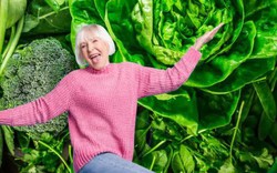 Không phải thuốc bổ đắt tiền, nhiều người ngoài 55 vẫn khỏe mạnh, minh mẫn nhờ 11 thực phẩm có sẵn trong bếp Việt