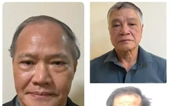 Vụ cựu thứ trưởng nhận hối lộ 200.000 USD: Thu giữ 175 miếng vàng, 204 sổ đỏ và hàng chục tỷ đồng của các bị can