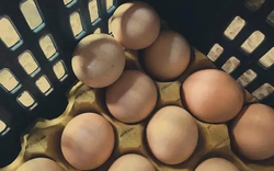 Ra chợ mua trứng gặp 3 loại này, ngon rẻ mấy cũng đừng mua