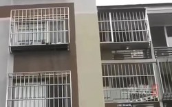 Cô ruột qua đời nhưng di chúc bị cha giấu đi, con gái mất trắng căn nhà trị giá hơn 10 tỷ đồng