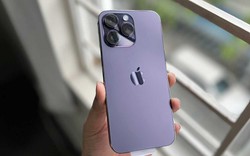 5 chiếc iPhone cũ đáng "chốt đơn" nhất đầu năm 2026