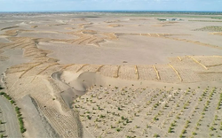 Phát minh chưa từng có trên thế giới của Trung Quốc: Không cần trồng cây vẫn phục hồi hàng nghìn hecta sa mạc, hiệu quả cao nhưng chi phí thấp