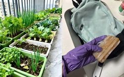 Bị chê keo kiệt suốt nhiều năm, lối sống của thế hệ cũ nay trở thành cái phao cứu giới trẻ