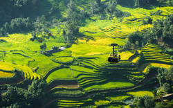 Nơi duy nhất ở Việt Nam được tạp chí Mỹ chọn là điểm đến dành cho người tuổi Sửu năm 2026: Sở hữu “vẻ đẹp vô tận”, toàn điểm check in triệu view