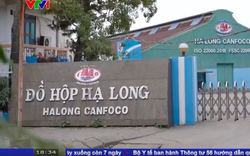 Công ty đồ hộp Hạ Long trước vụ 120 tấn thịt lợn nhiễm bệnh: Doanh thu gần nghìn tỷ mỗi năm, từng là Top 50 doanh nghiệp mạnh ASEAN 2024