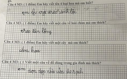 "Đến Thượng Đế cũng phải cười" với học sinh tiểu học!
