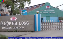 Trước vụ án thịt nhiễm bệnh tại Đồ hộp Hạ Long: Cổ đông ngoại bán sạch cổ phiếu, Chủ tịch và Kế toán trưởng đồng loạt từ nhiệm