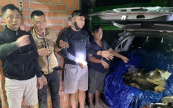 Đột kích "công xưởng" giết mổ chó trộm ở Tây Ninh, bắt giữ nhiều đối tượng