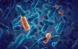 Bệnh viện Hiệp hội Y khoa Trung Quốc cảnh báo về "đại dịch" nghiêm trọng gây nên “thảm họa” cho nhân loại