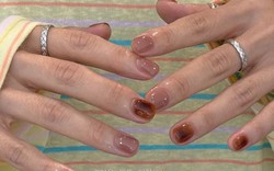 Móng gel trong kiểu Hàn: Xu hướng nail thu đông 2026 đẹp lâu, không sợ lộ móng mọc