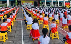 Cô giáo chủ nhiệm bị tạm đình chỉ vì phản ánh đánh học sinh