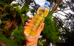 Hơn 90% người bệnh không biết thận đang "chết dần", bác sĩ dạy cách tự kiểm tra chỉ với 1 chiếc chai nhựa