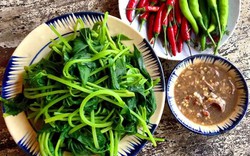 Mùa se lạnh hay mệt mỏi, hãy nhớ 3 loại rau giàu kali này: Chợ Việt bán đầy, giá rẻ bất ngờ