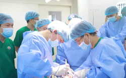 Chồng hiến thận cứu vợ, cha nhường một phần cơ thể cho con