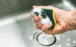 Lời khuyên cho những gia đình đang dùng miếng bọt biển để rửa bát