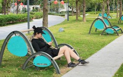 Sự thật bất ngờ đằng sau bức ảnh chụp chiếc ghế trong công viên