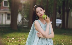 Nếu gần đây bạn thấy mình chẳng tiến lên, hãy nhìn lại 5 thứ đang âm thầm giữ chân mình