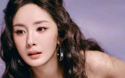 Nỗi tủi nhục của Dương Mịch