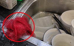 Lời khuyên cho những gia đình để lưới rửa bát ẩm ướt 24/24