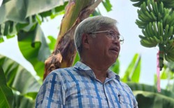 "Vua chuối" Việt Nam tay trắng làm nên cơ nghiệp 20 triệu USD/năm: Ngoài 70 tuổi vẫn dậy từ 5h sáng, tự nhận "mình dở nên phải làm nhiều"