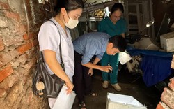 Hà Nội: Thêm 12 ổ dịch sốt xuất huyết phát sinh trong tuần qua
