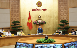 Khuyến khích bảo tàng, rạp chiếu phim miễn, giảm phí Ngày Văn hóa Việt Nam 24/11