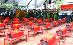 Lan tỏa lời tri ân bằng những nhành hoa trắng
