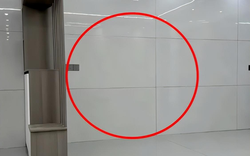 Từng là kiểu trang trí “nhà nào có cũng thấy sang”, vì sao ốp gạch kín tường giờ dần biến mất? 4 nhược điểm sống lâu mới thấy
