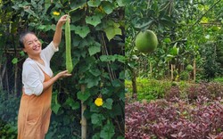 Mẹ nuôi của Phương Oanh nghỉ hưu sớm, làm nông dân ở khu vườn rộng 4.000m² ven sông Hồng