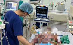 Người đàn ông suýt mất mạng vì món khoái khẩu