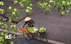 Trả hoa sữa về đúng "khoảng cách lãng mạn": Vừa đủ nhớ, vừa đủ… thở
