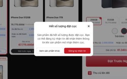 Cọc 30 triệu đồng, canh đúng 19h để bấm đặt, nhiều người Việt vẫn lỡ "chuyến" iPhone Duo đầu tiên: Đặt bây giờ thì phải đến Tết năm sau mới cầm được máy