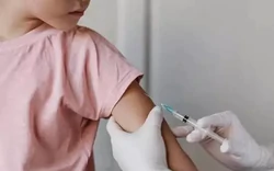Bộ Y tế phát cảnh báo sau chùm ca não mô cầu khiến một học sinh tử vong ở TPHCM
