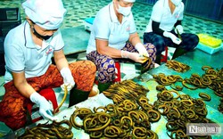 Bất ngờ về làng nghề chế biến con "đặc sản" thu về hàng trăm tỷ đồng mỗi năm