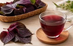 Có nên uống nước lá tía tô thay nước lọc?