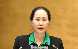 Sửa Luật Điện ảnh, đề xuất chặn truy cập, gỡ phim vi phạm trên mạng