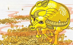 3 con giáp tiền bạc khởi sắc rõ nhất tháng 9 âm: Một con giáp đặc biệt có duyên tích sản